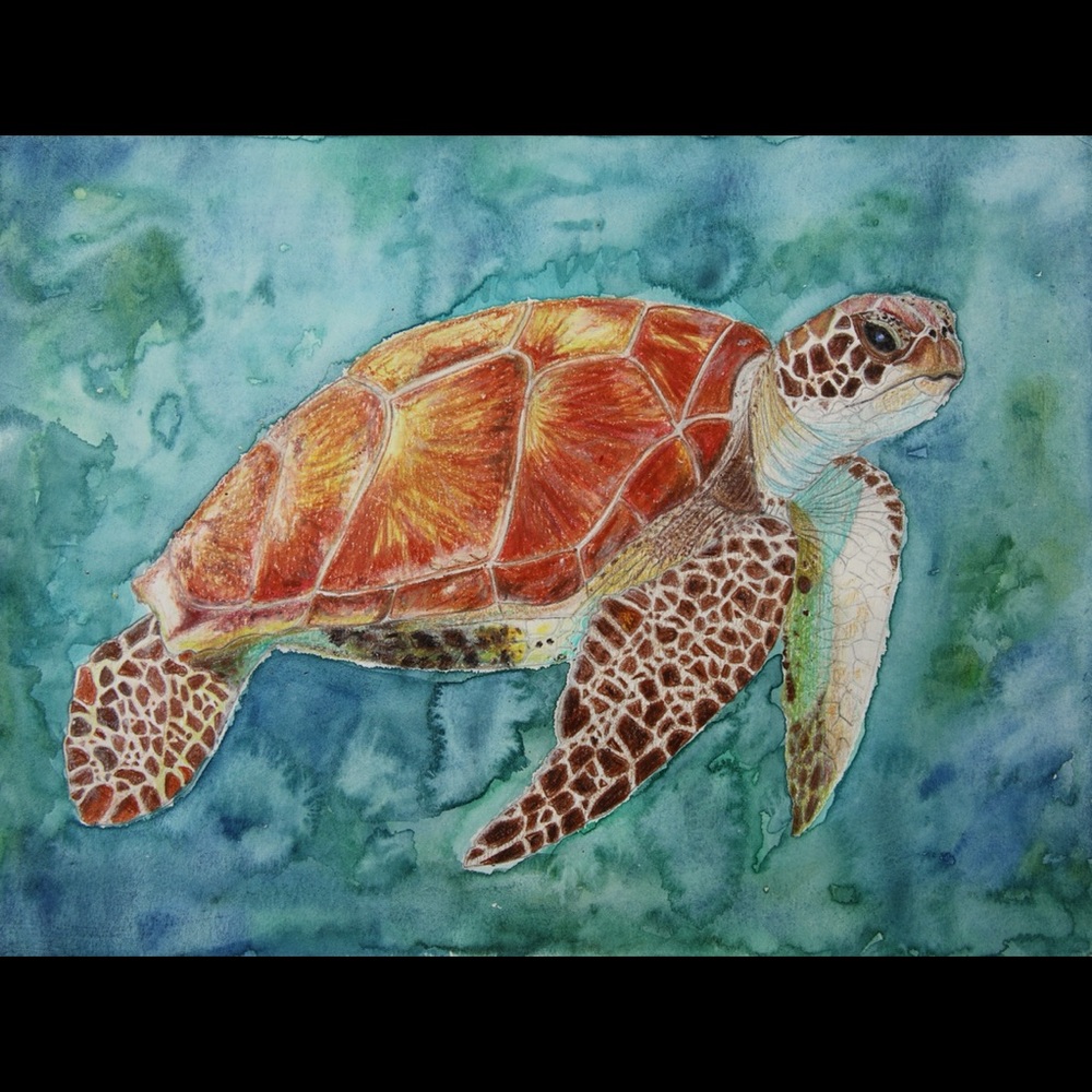 Sea Turtle Giclée Art Print Watercolor Painting Ocean Beach Tropical Sea-life - Picture 4 of 9